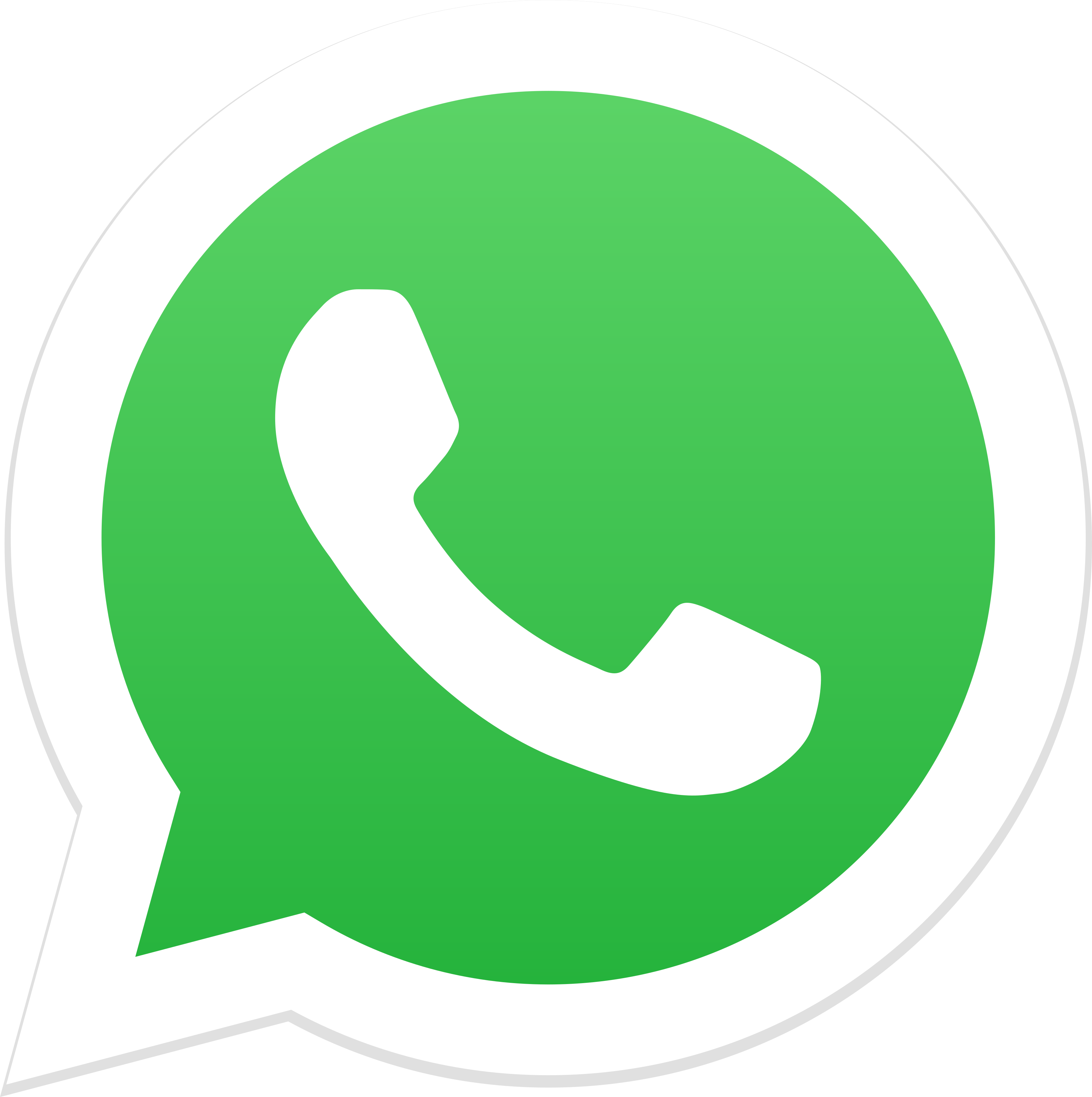 whatsapp logo 1 - COMO FAZER UM JARDIM Começando do Zero! 10 Passos para Iniciantes