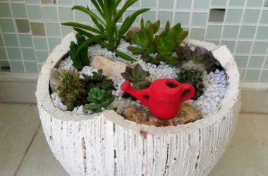 Mini Jardim: 8 Passos para Montar o Seu