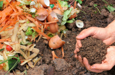 Substrato para plantas: Afinal o que é substrato?