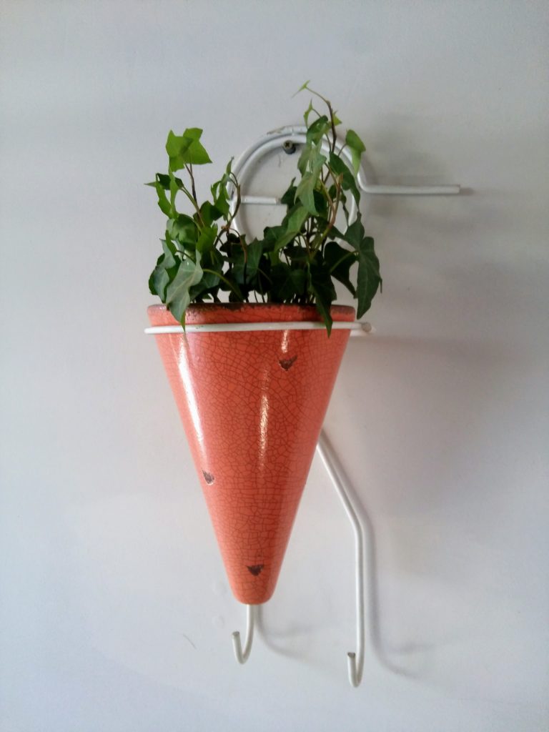 Hera Inglesa: Conheça essa plantinha 20191014 1109232 768x1024 - Hera Inglesa: Conheça essa plantinha