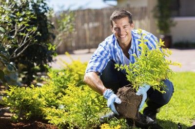 Jardinagem reduz o risco de demência 