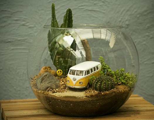 Arranjos em vidro: Como Fazer Utilizando Suculentas e Cactos Terrários Como Fazer 1 2 - Arranjos em vidro: Como Fazer Utilizando Suculentas e Cactos