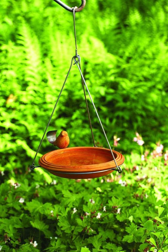 PÁSSAROS no Jardim | 5 PASSOS para Atrair alimentador - PÁSSAROS no Jardim | 5 PASSOS para Atrair