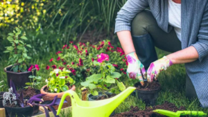 Jardinagem: Conheça 10 Benefícios para Sua Saúde