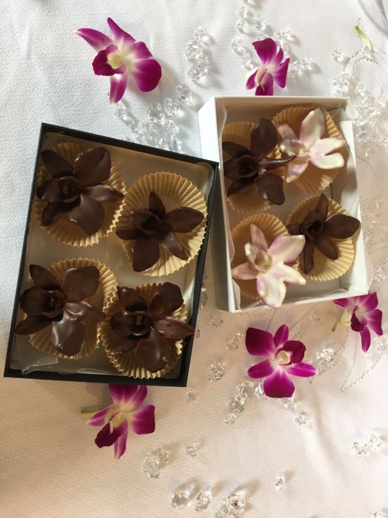9 FATOS SURPREENDENTES que você não sabia sobre o seu JARDIM cheiro de chocolate 768x1024 - 9 FATOS SURPREENDENTES que você não sabia sobre o seu JARDIM