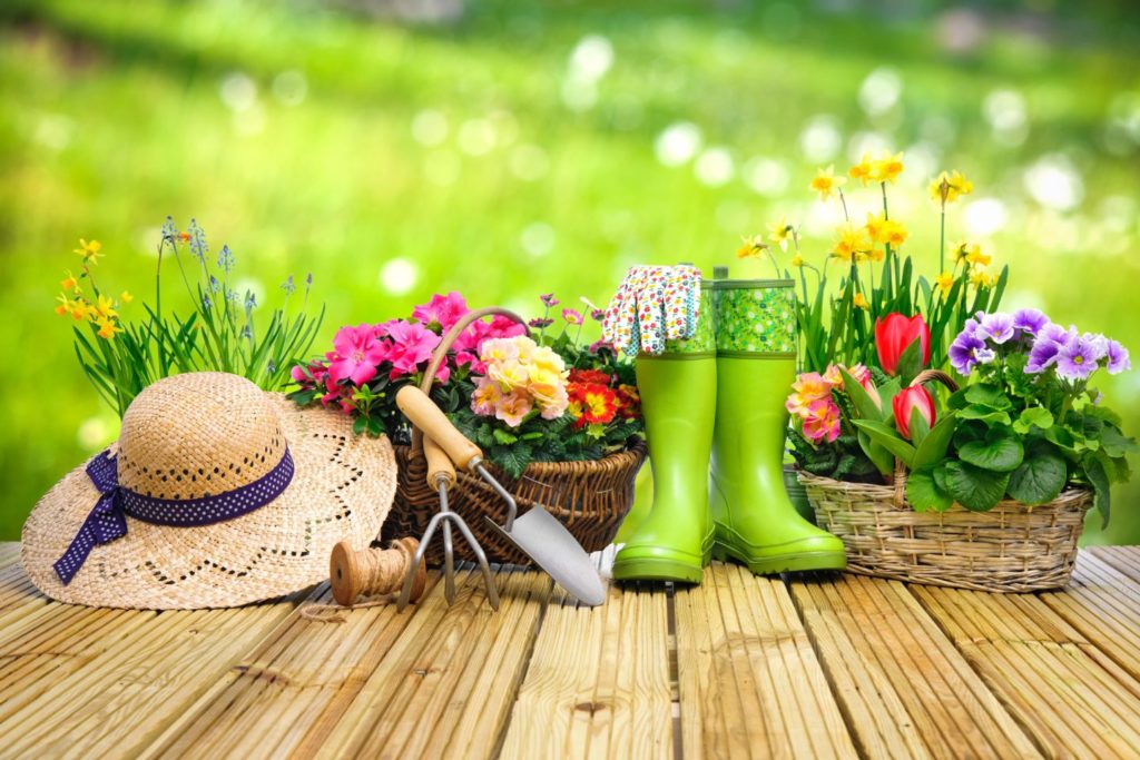 9 FATOS SURPREENDENTES que você não sabia sobre o seu JARDIM jardim 1 1024x683 - 9 FATOS SURPREENDENTES que você não sabia sobre o seu JARDIM