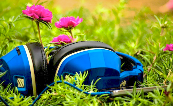 9 FATOS SURPREENDENTES que você não sabia sobre o seu JARDIM plantas e o som - 9 FATOS SURPREENDENTES que você não sabia sobre o seu JARDIM