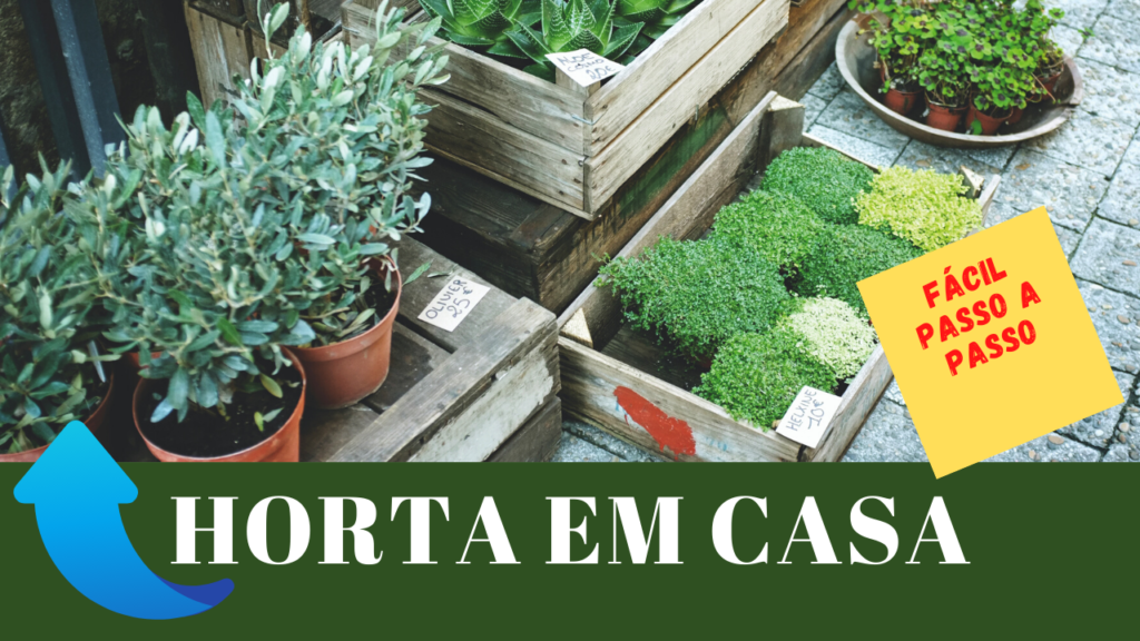 Novo Vídeo: HORTA EM CASA - Fácil Passo a Passo HORTA EM CASA Fácil Passo a Passo 1024x576 - Novo Vídeo: HORTA EM CASA - Fácil Passo a Passo