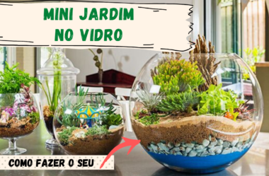 Novo Vídeo: MINI JARDIM no VIDRO | Como FAZER o seu