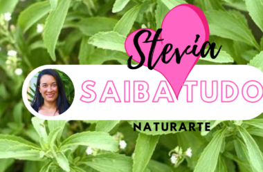 Novo Vídeo: STEVIA | Saiba Tudo para Plantar, Cultivar e Fazer o ADOÇANTE NATURAL
