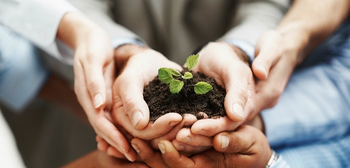 PLANTAS DE INTERIOR: As Melhores DICAS para Cultivá-las cuidados com as plantas 1 - PLANTAS DE INTERIOR: As Melhores DICAS para Cultivá-las