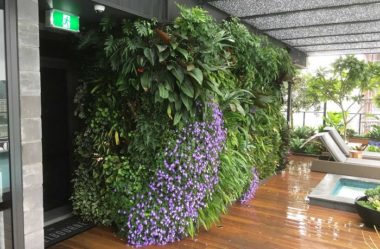 JARDINS VERTICAIS : 12 DICAS Úteis de Design
