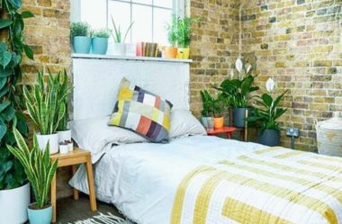 PLANTAS NO QUARTO, Pode Ter? Descubra Tudo