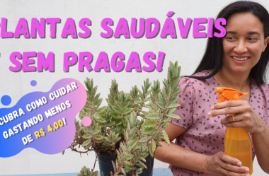 Novo Vídeo: PLANTAS Saudáveis e SEM PRAGAS! Descubra como Cuidar gastando Menos de R$ 4,00! Com Água Oxigenada!