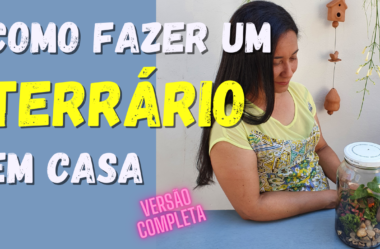 Novo Vídeo: Como fazer um Terrário em casa (Versão Completa) Faça Você Mesmo DIY