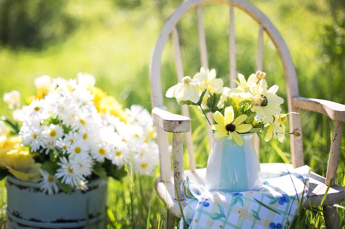 Exalando frescor, felicidade e inocência, as margaridas são uma das flores mais conhecidas em todo o mundo.
