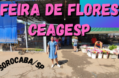 Novo Vídeo: REVELADO!! Visitei a Feira de Flores CEAGESP e Você vai se Surpreender com Tudo que Descobri!