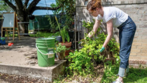 SERVIÇO DE JARDINAGEM | 6 DICAS para Você Contratar