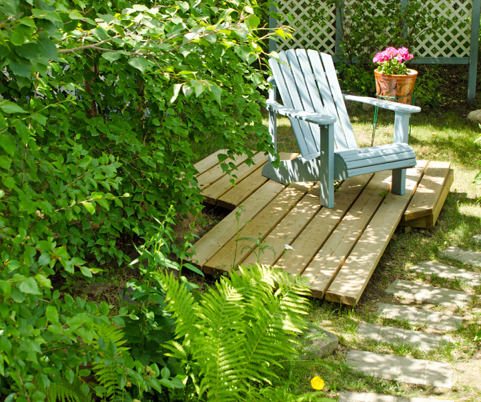 Cuidar de uma samambaia em seu quintal ou jardim acaba sendo mais simples do que fazer isso dentro de casa. 