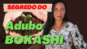 ADUBO BOKASHI – Aprenda 3 Técnicas para Adubar suas Plantas