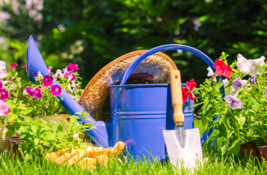 Descubra 17 Fatos Surpreendentes sobre Jardins