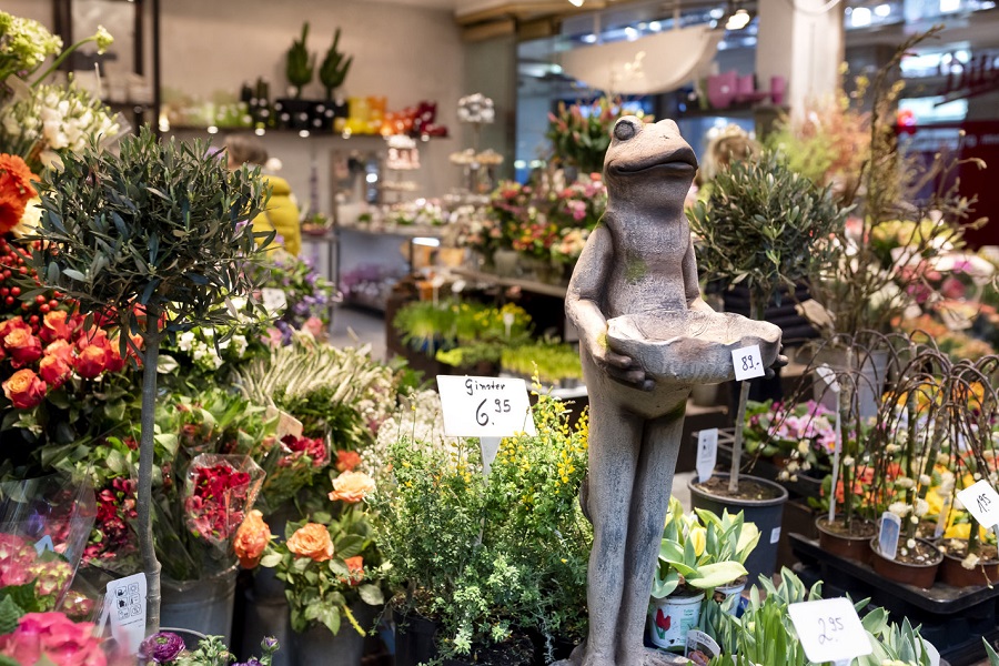 Não só as lojas de plantas oferecem inspiração e mostram novidades. A proximidade com a Holanda – um indiscutível centro de produção de flores – e as exposições estaduais e nacionais de jardinagem e paisagismo também servem de estímulo
