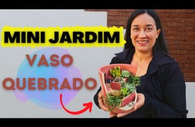 Mini Jardim no Vaso Quebrado – Passo a Passo Completo