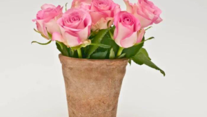 9 Dicas Para Cultivar Rosas em Vasos com Sucesso
