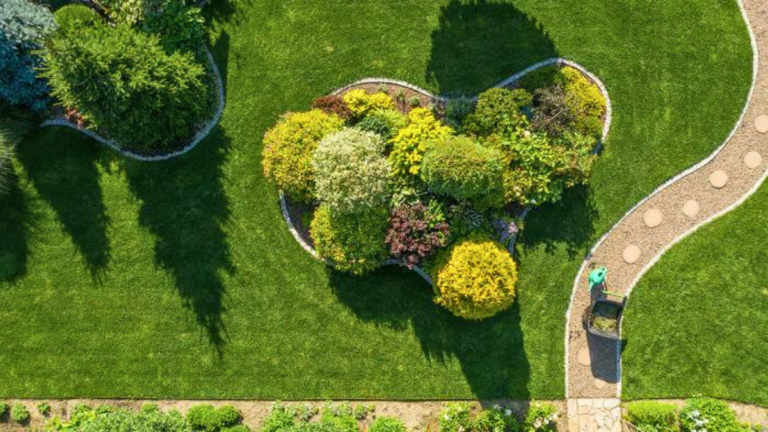 Jardinagem e Paisagismo: Conheça Os 10 Erros Mais Comuns