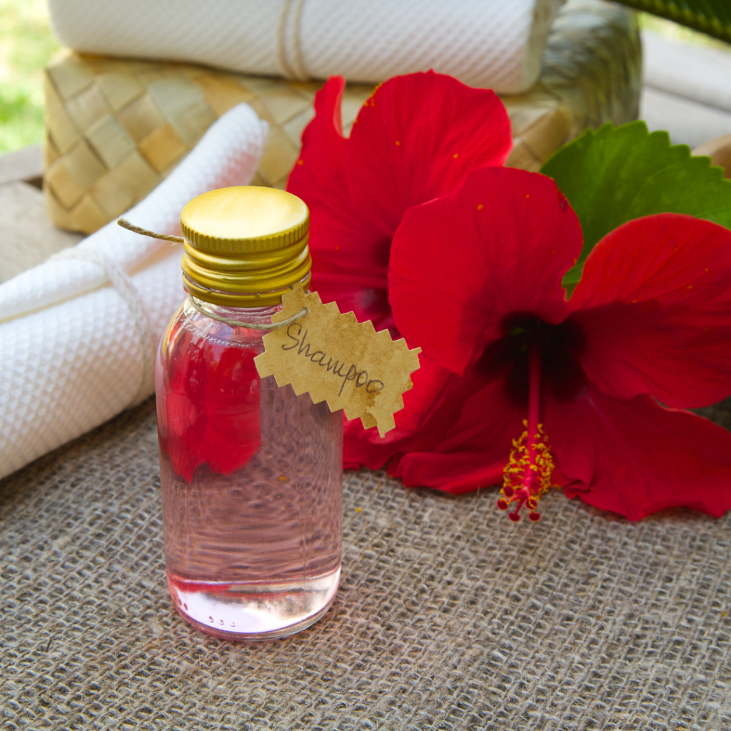 O hibisco é uma planta rica em antioxidantes naturais e ácido málico